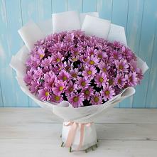 Букет цветов из:  Хризантемы в Атиге
