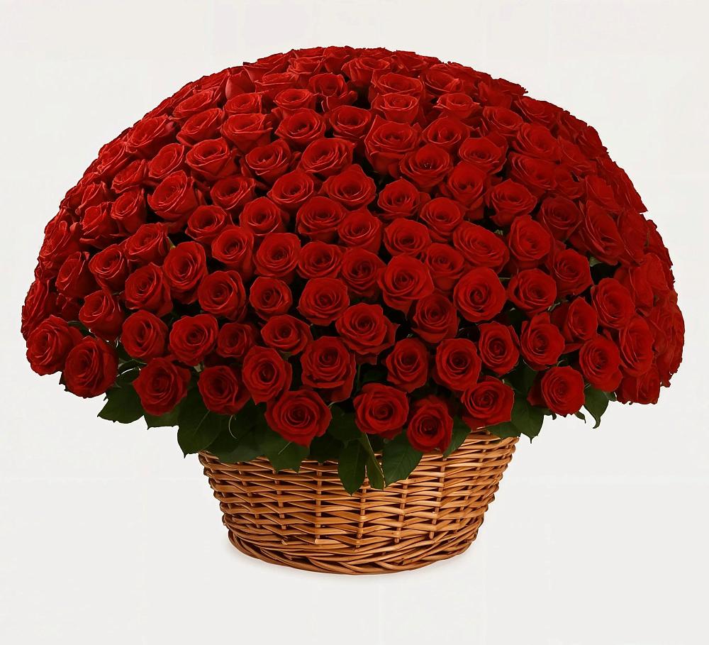 Премиум букет из: Розы в Атиге