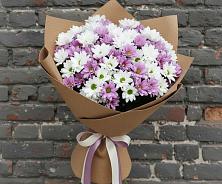 Букет цветов из:  Хризантемы #REPLACE_PRED# Атиге