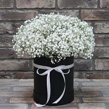 Цветочная композиция из Гипсофила в шляпной коробке в Атиге